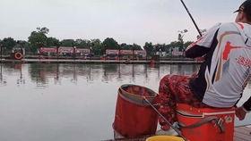 大钓哥在线观看,揭秘钓鱼高手的生活与技巧